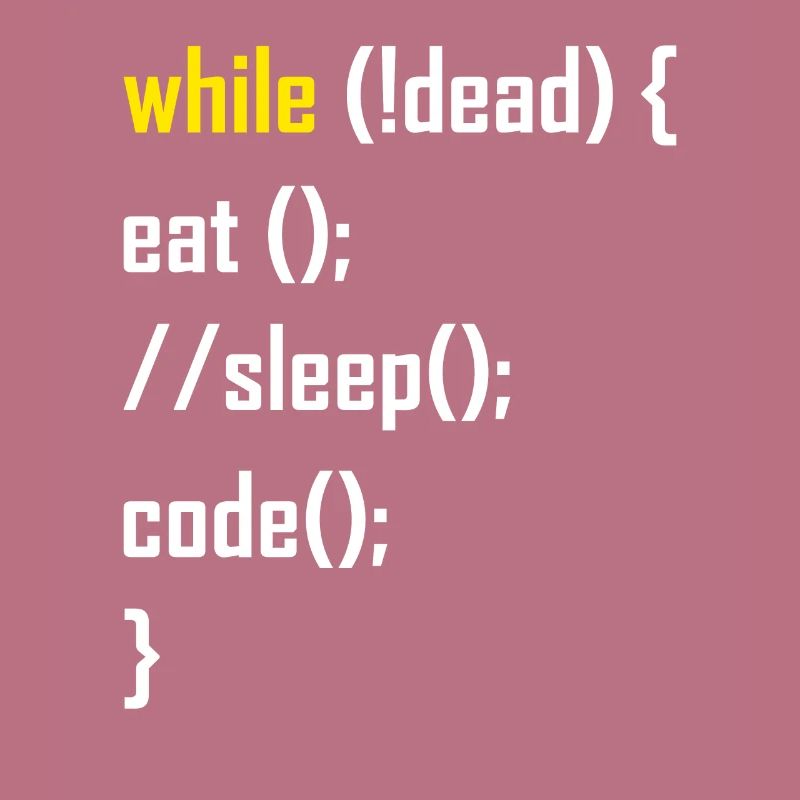 Programmer programming gift