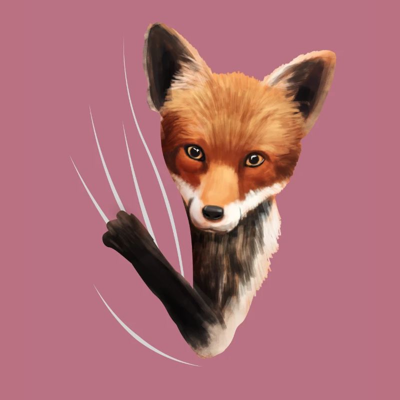 Fox foxes fox lover gift