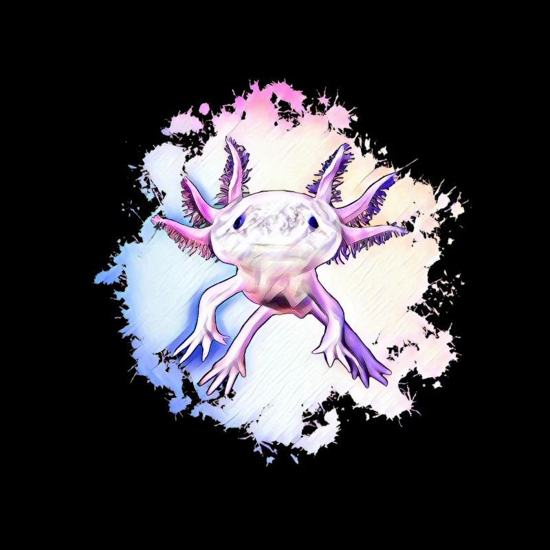 Axolotl