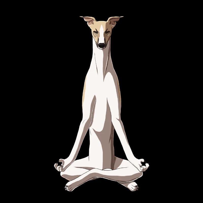 Meditating Whippet Dog