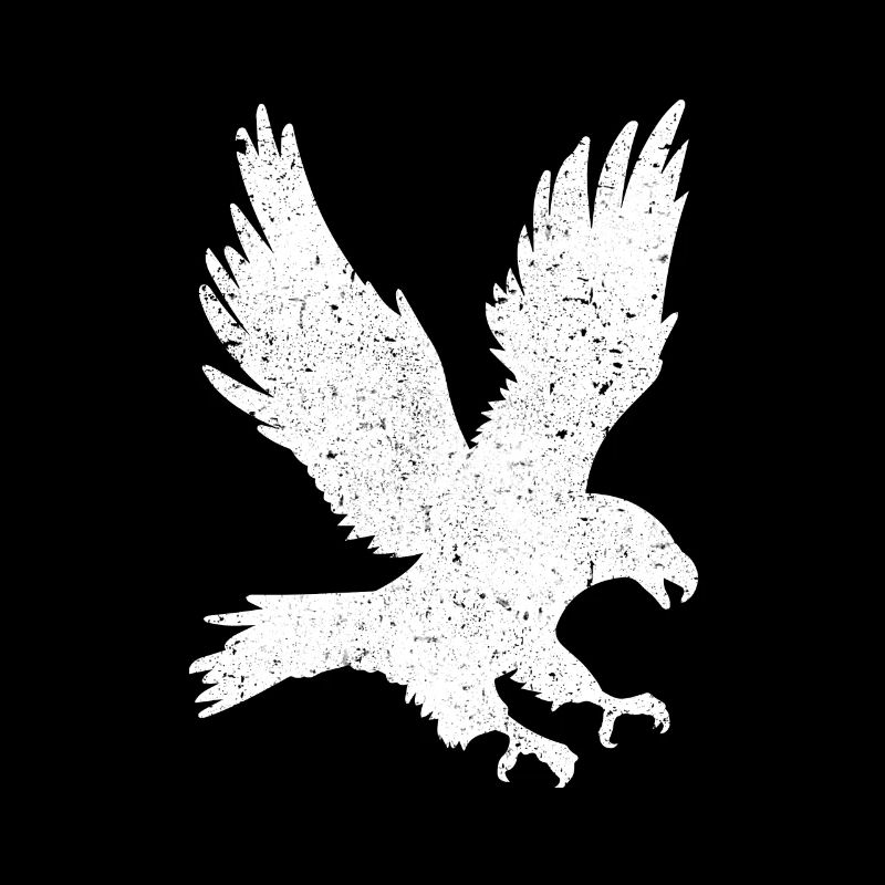 Eagle bird hawk birds of prey predator