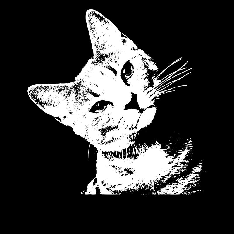 Chat motif chat tête de chat Mignon Oblique Dames