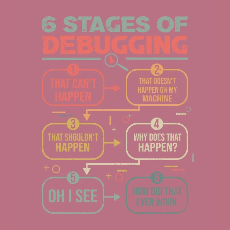 Programmer Gift Idea 6 stages of debugging