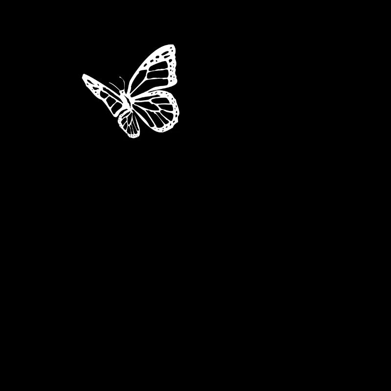 Papillon insecte papillons