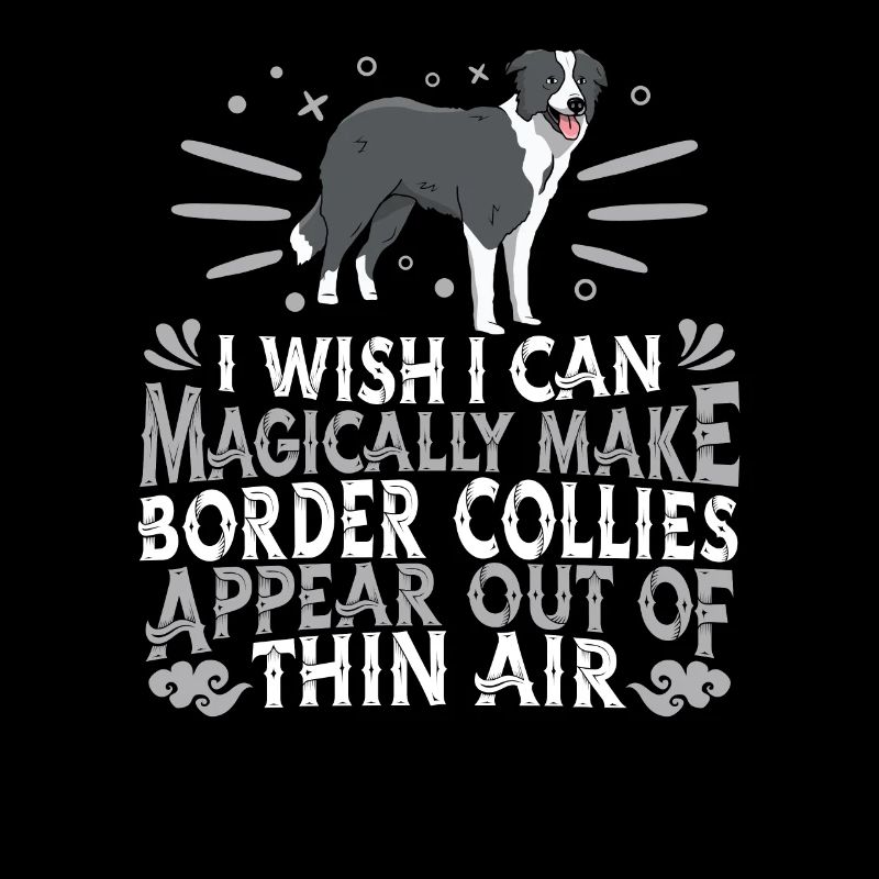 Border Collie Hund