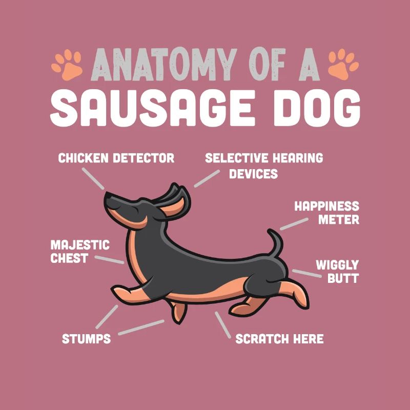 Anatomie eines Wursthundes lustiges Dackelgeschenk