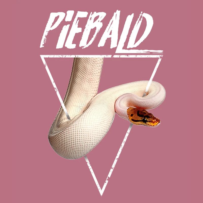 Piebald Ball Python Gardien de reptiles