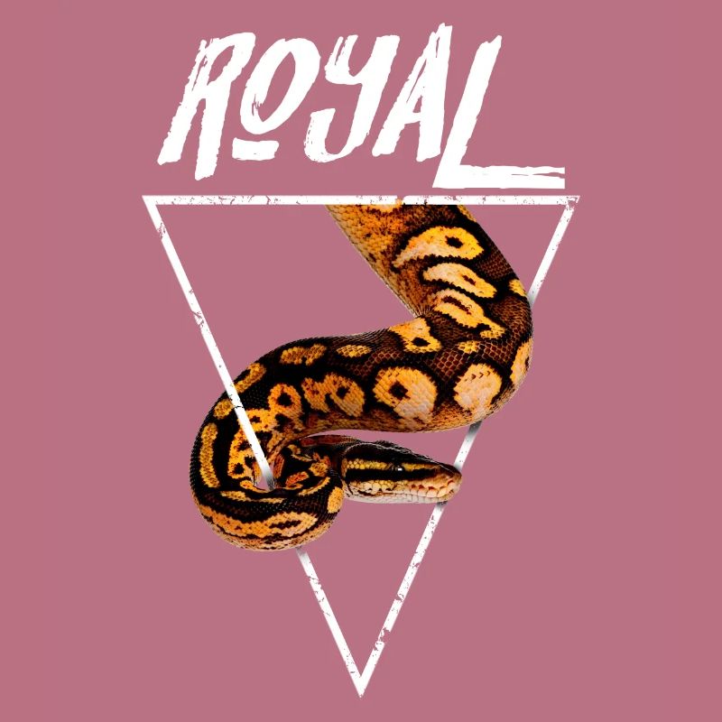 Royal Ball Python Propriétaire