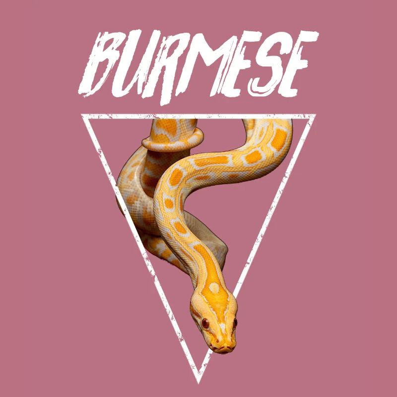 Propriétaire de serpent Python birman