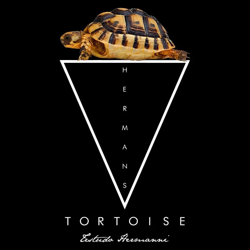 Hermans Tortoise Keeper Geometric