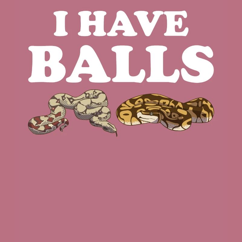 Funny Ball Python Snake