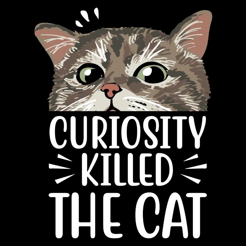 La curiosité est la mort du chat