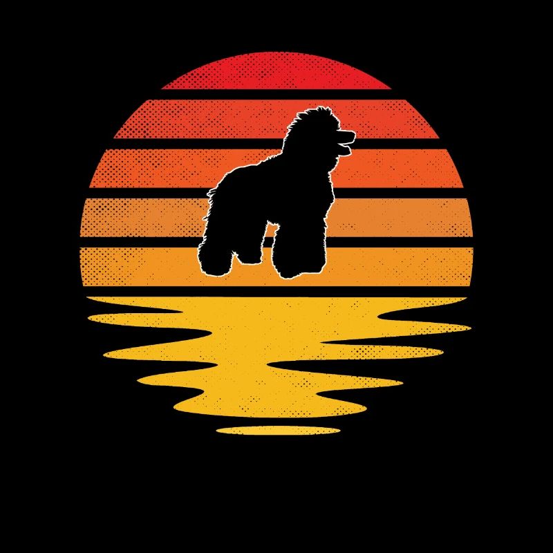 Caniche Rétro