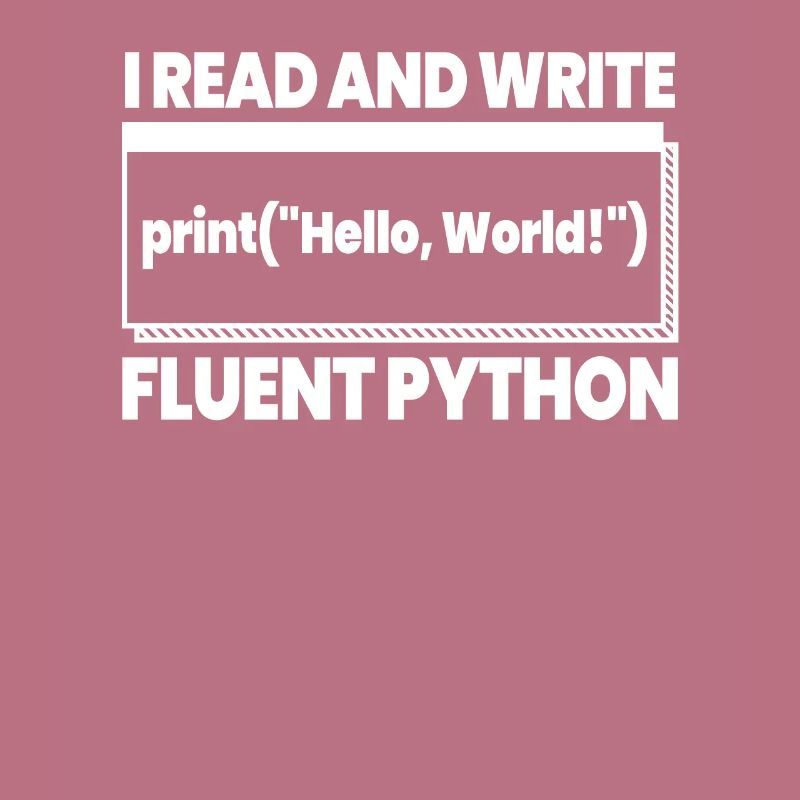 Developer Coder Programmer Funny