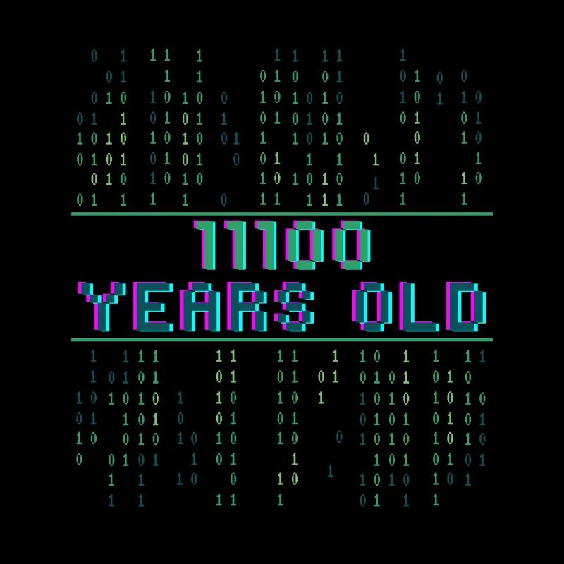28th Birthday 28 years old Binary Code Coder