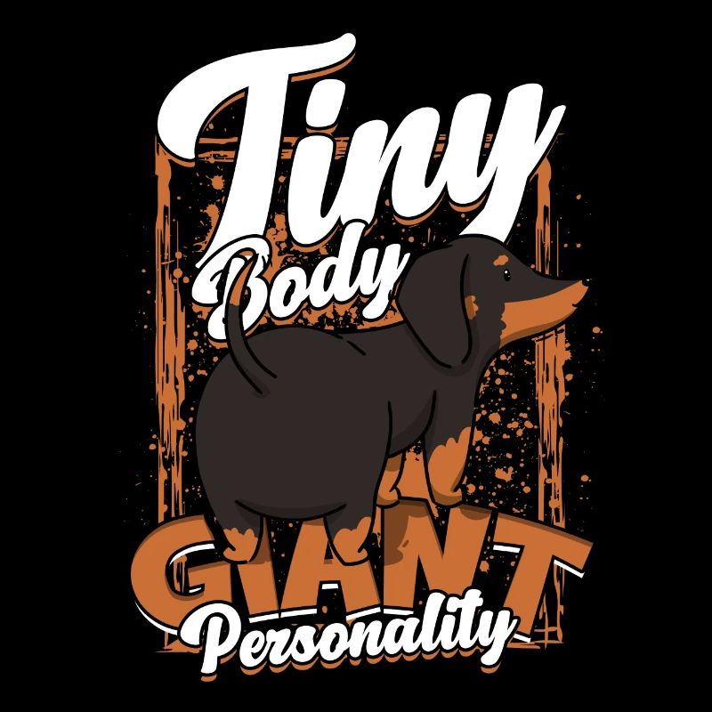 Dachshund Wire-haired Dachshund Tiny Body Gigant Personality