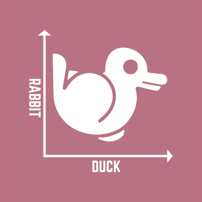 Rabbit Duck Graph Math Pun Student Teacher Easter
