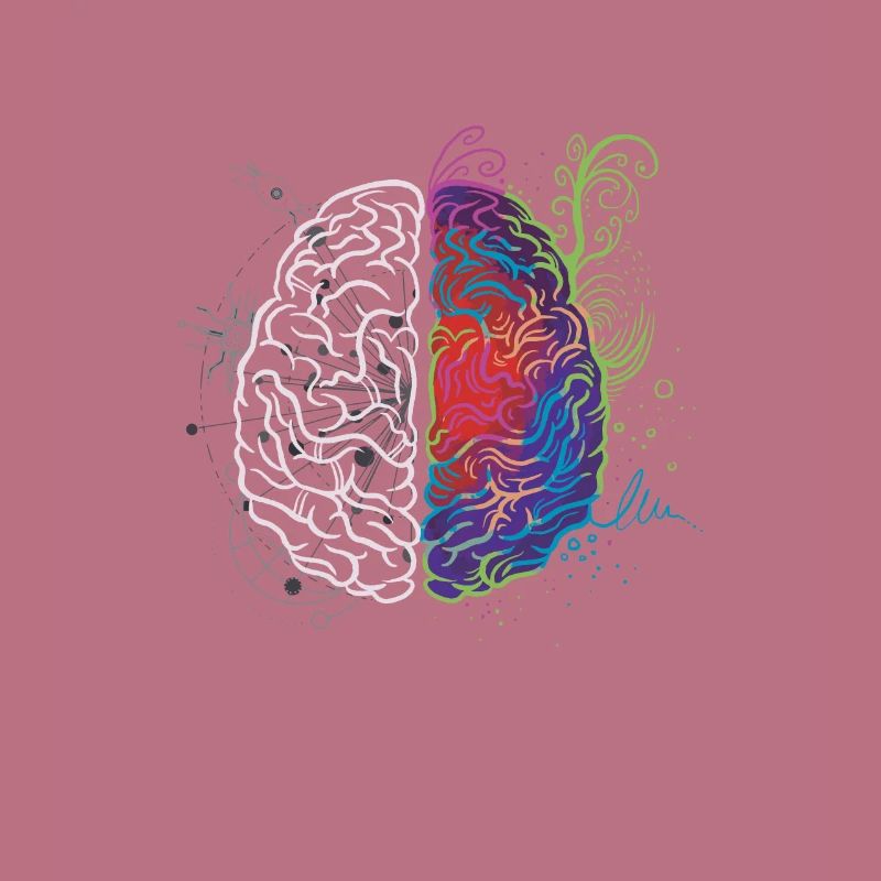 brain