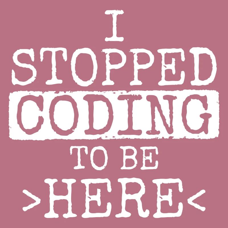 Software Ingenieur Informatiker Programmierer