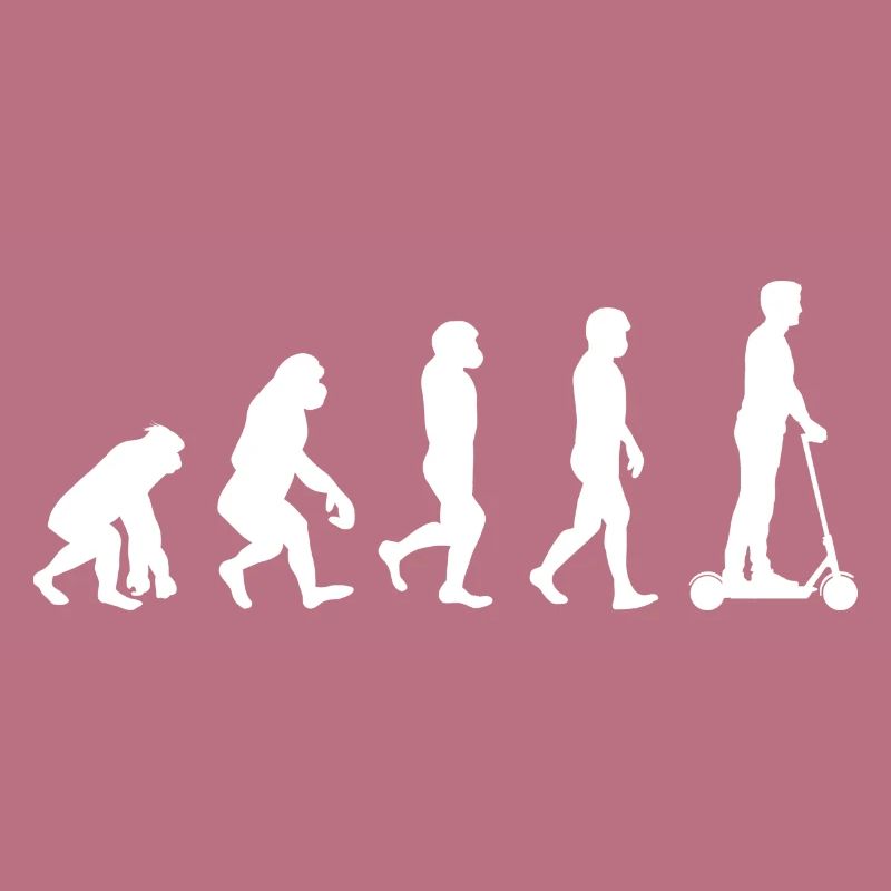 E-Scooter Evolution I E-Roller City-Roller Scooter