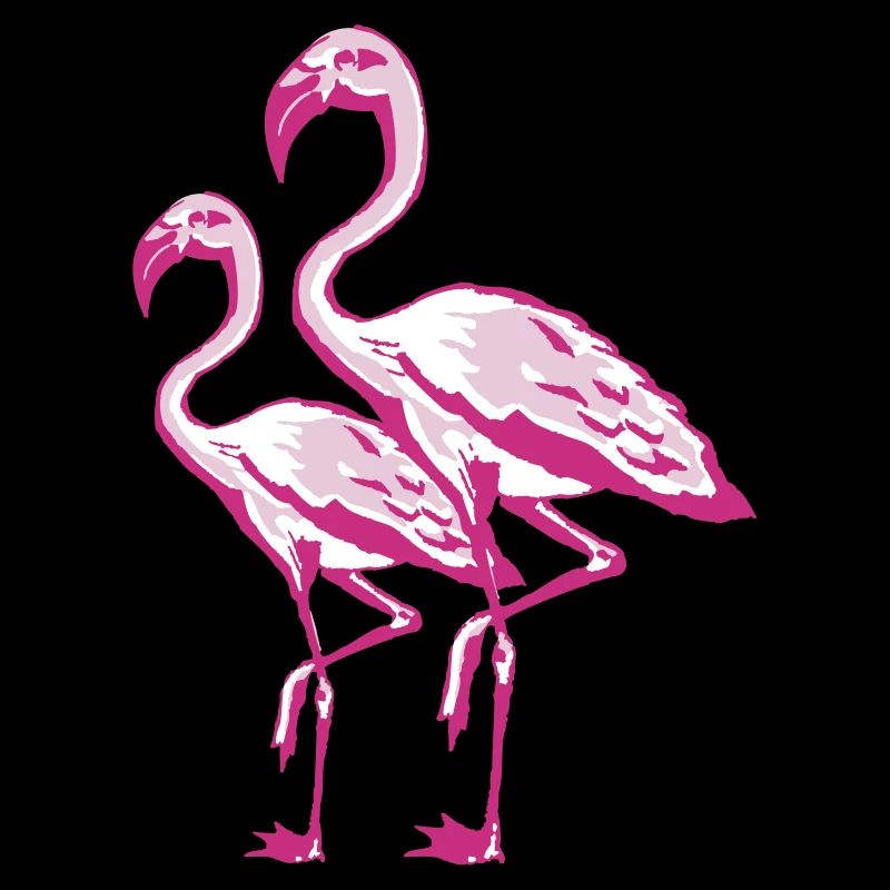 two flamingos
