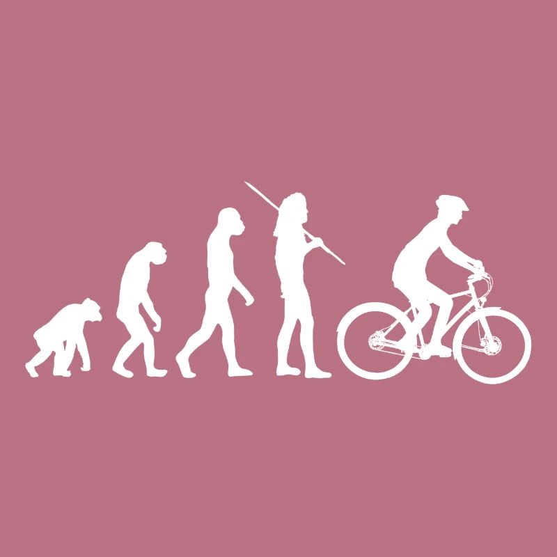 Evolution - bicycle