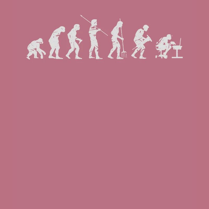 Evolution Informatiker