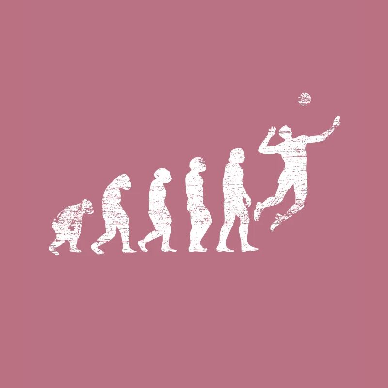 Evolution volleyball