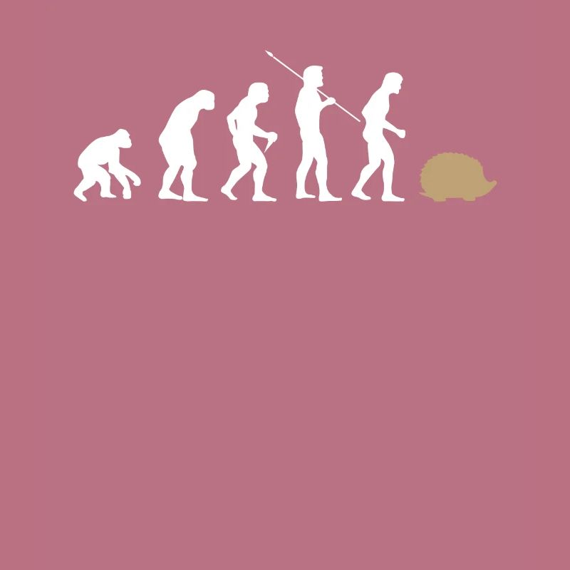 Évolution hérisson