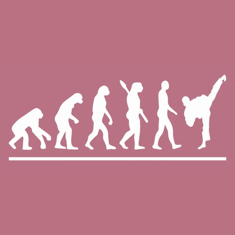 Évolution karaté