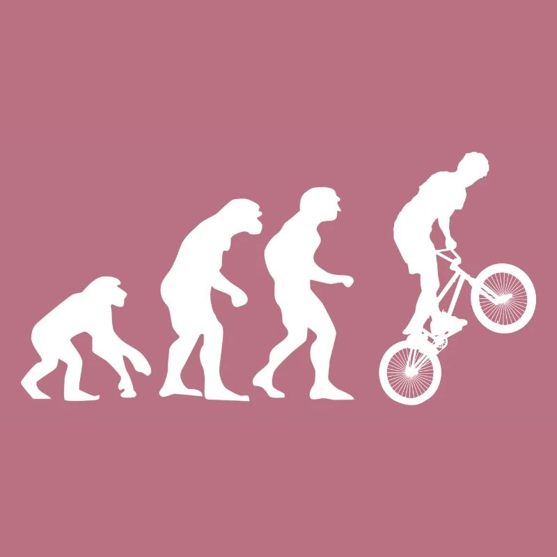 Evolution - BMX