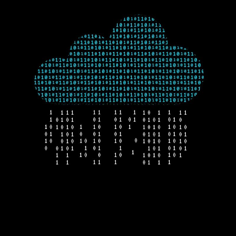 Software Engineer Binary Codes