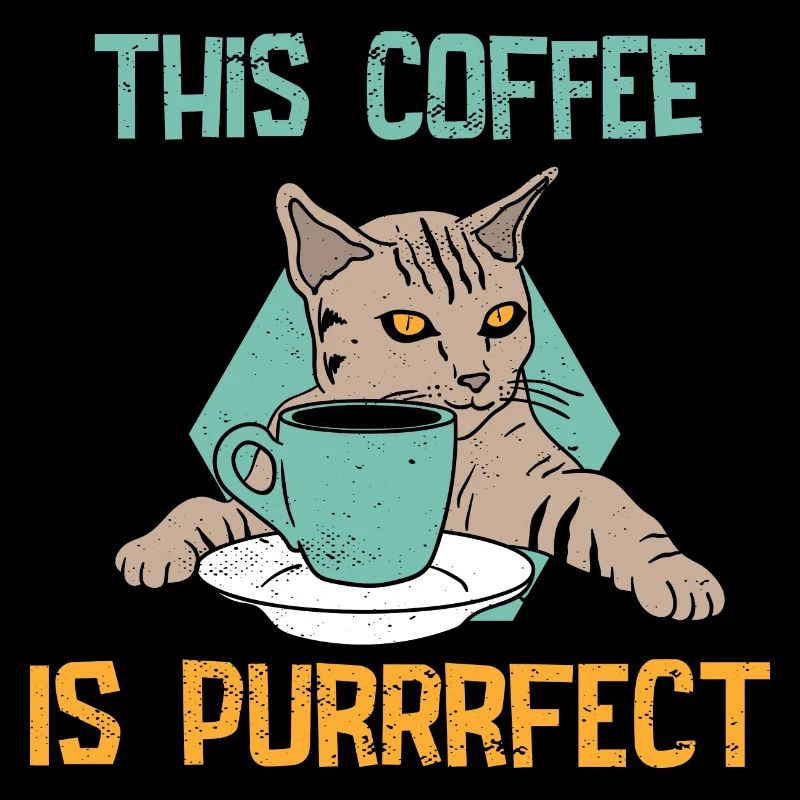 Katzen Kätzchen Kaffee Haustier