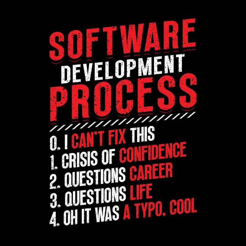 Software development process, programming