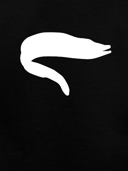 eel
