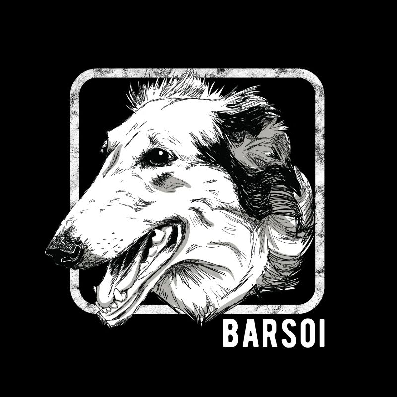 Chiens - Borzoi