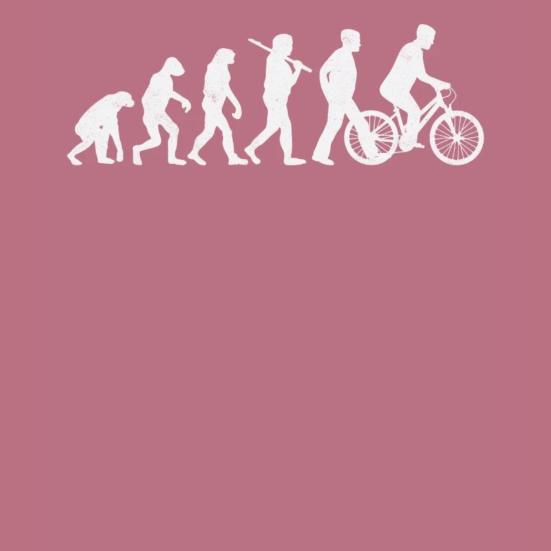 Roue cycliste Darwin Evolution