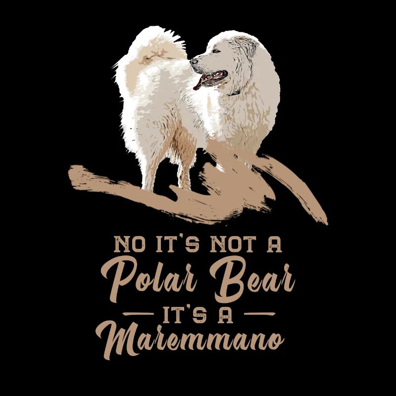 Not a polar bear - Its a Maremmano Abruzzese