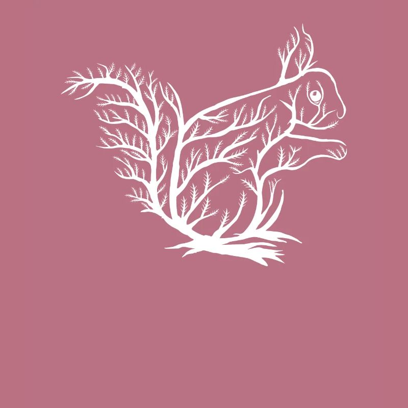 Squirrel, Eichhörnchen