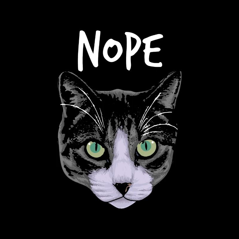 Chat drôle