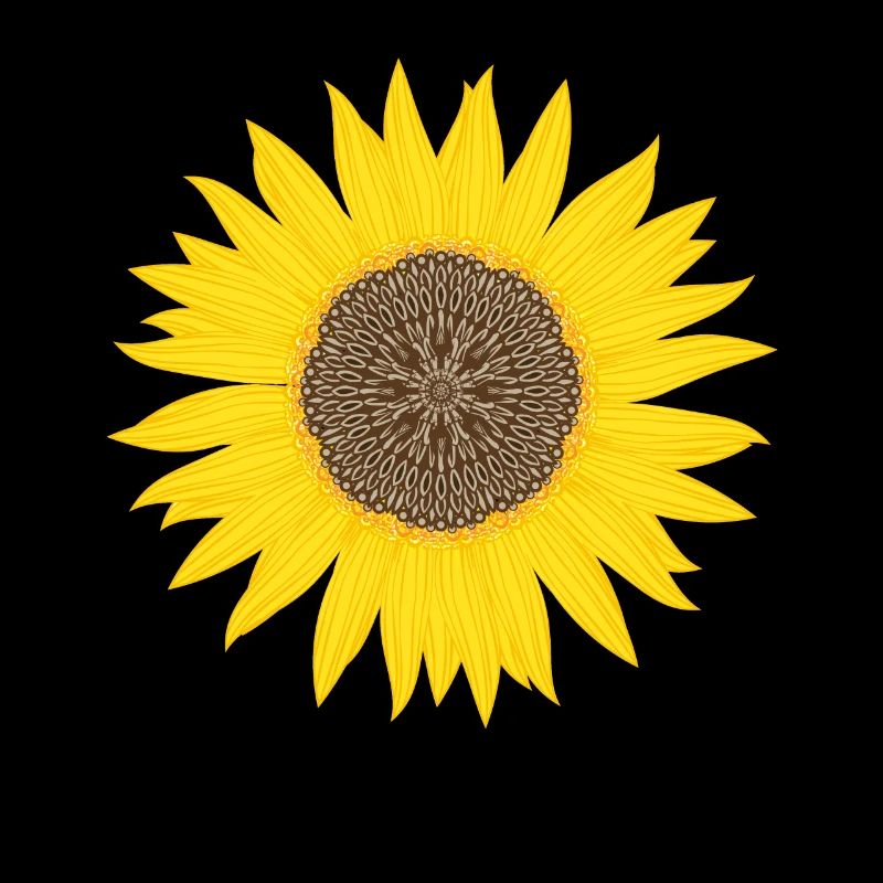 Fleur de tournesol graphique puissance beauté