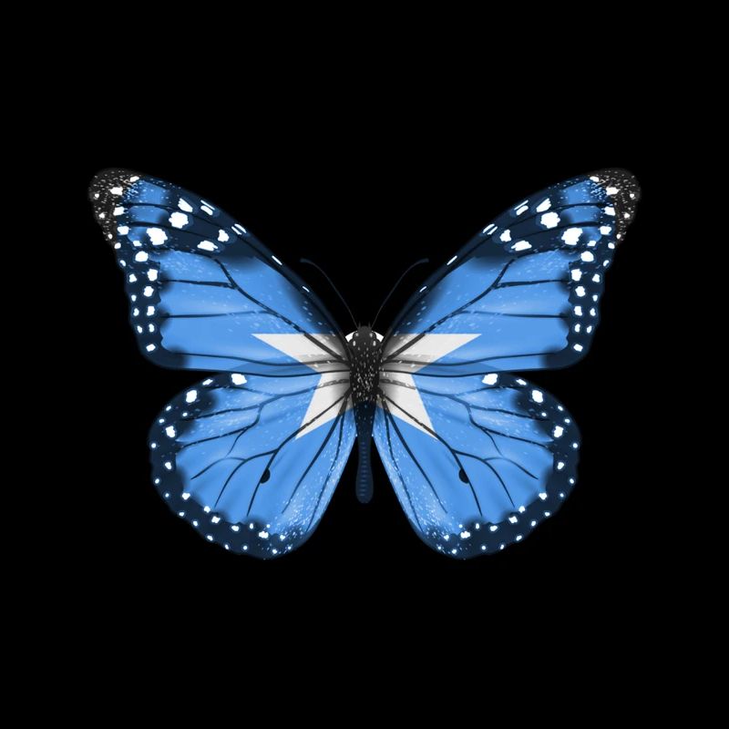 Papillon Drapeau De La Somalie