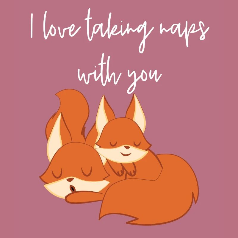 Fox - Cute Fox - Fox Lover - La sieste