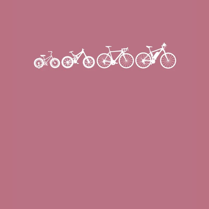Ebike Evolution du tricycle au e-bike