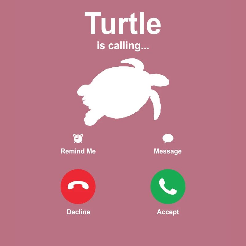 turtle
