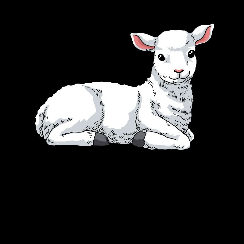 Lamm Schaf Hausschaf