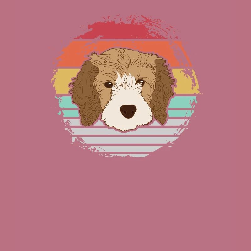 Cavapoo dog