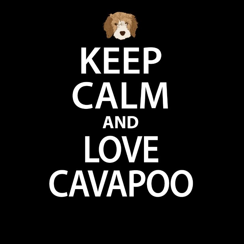 Chien Cavapoo