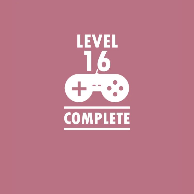 Level 16 Complete 16. Geburtstag Geschenkidee