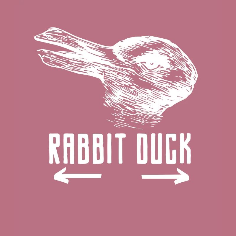 Rabbit duck